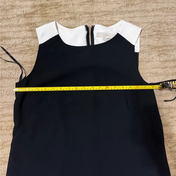 Loft Shift Dress - Picture 5 of 5